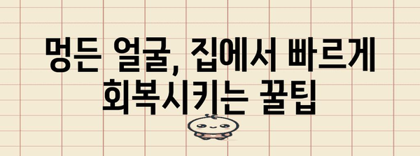 멍든 얼굴 복원 가이드 | 집에서 해결하는 효과적인 팁
