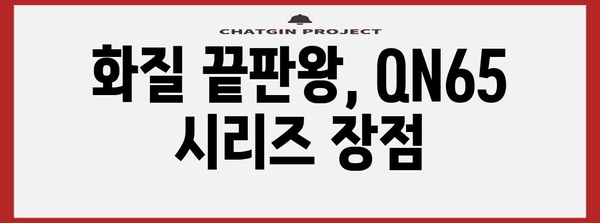 내돈내산 삼성 QN65 시리즈 | 장점, 단점, 실사용기