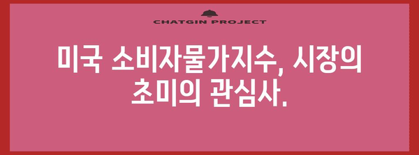 미국 소비자물가지수 발표 | 금리 조정 시기 예상