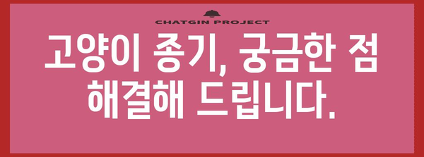 고양이의 종기 | 원인, 치료법, 그리고 예방 가이드