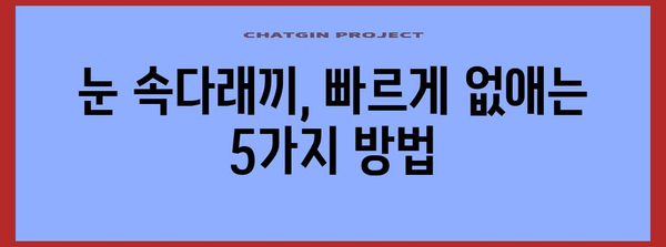 눈 속다래끼 극복 | 빠른 치유를 위한 5가지 방법
