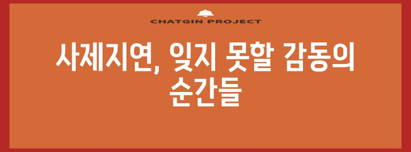 사제지연 연세대학교 행사의 감동과 의미