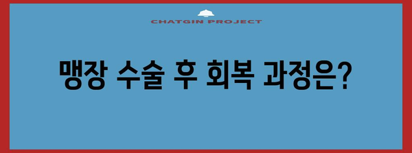 맹장수술 | 위치, 절차, 회복 기간