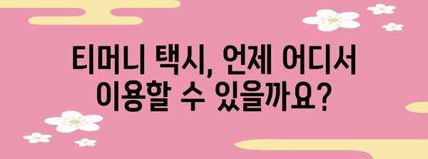 티머니 택시 이용 완벽 가이드! 영업 시간부터 분실물 처리까지
