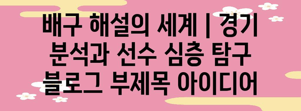 배구 해설의 세계 | 경기 분석과 선수 심층 탐구