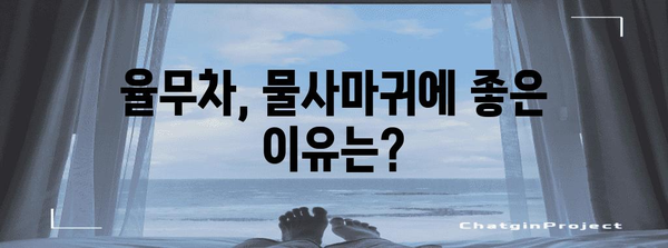 물사마귀 완전 정복 | 율무차 효능과 주의 사항