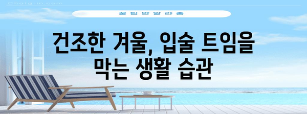 입술 트임 원인 파헤치기 | 건강한 입술을 위한 비밀