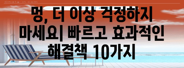멍 없애기의 완벽 가이드 | 10가지 증명된 방법
