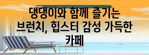 전포동에서 애견 동반 즐기기 | 추천 카페 베스트 5
