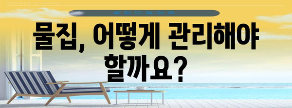 신발 물집 처리의 모든 것 | 터뜨려야 할까?