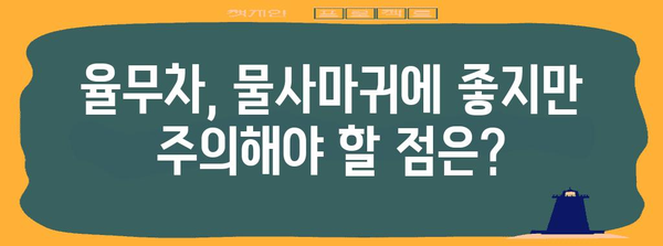 물사마귀 완전 정복 | 율무차 효능과 주의 사항