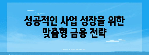 정부 지원 사업자 금융 관리 전략