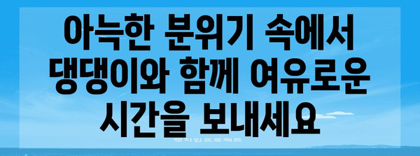 전포동에서 애견 동반 즐기기 | 추천 카페 베스트 5