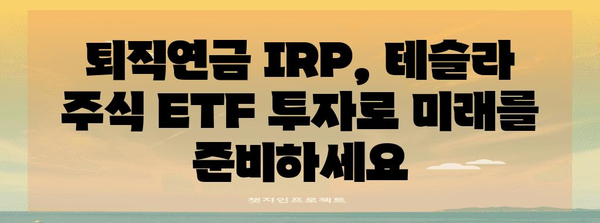 퇴직연금 IRP에 테슬라 주식 ETF 투자 | 현명한 계획