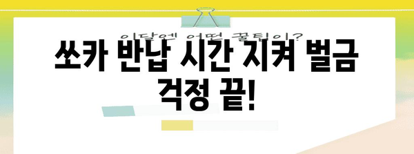 쏘카 반납 완벽 가이드 | 지연과 조기 대비 팁