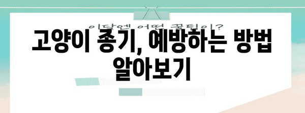 고양이의 종기 | 원인, 치료법, 그리고 예방 가이드