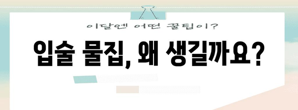 입술 물집 대처법 | 원인 파악에서 수술 시술까지 알아보기
