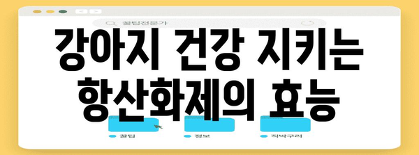 강아지 면역력 업! 항산화제로 건강하게 키우기
