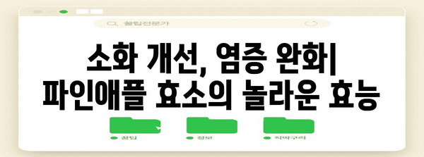 파인애플 효소의 이점과 부작용 | 다이어트 효과 분석
