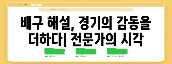배구 해설의 세계 | 경기 분석과 선수 심층 탐구