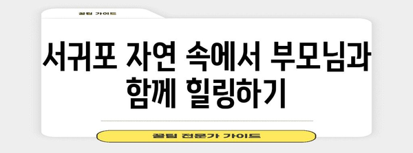 서귀포 효도여행 둘째 날, 추억 만들기 위한 가볼 만한 곳과 맛있는 식사