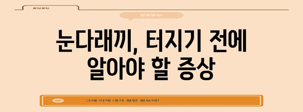 눈다래끼 완전 정복 | 전염성부터 터지는 증상 퇴치법까지