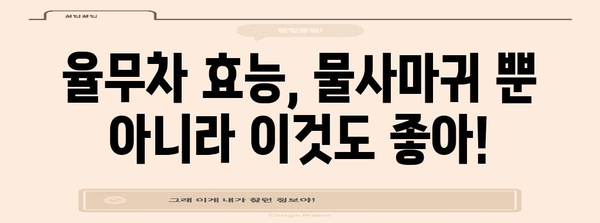 물사마귀 완전 정복 | 율무차 효능과 주의 사항