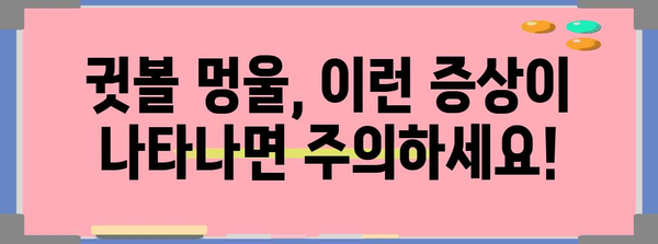 귓볼 멍울 관리 완벽 가이드 | 원인, 증상, 대처법