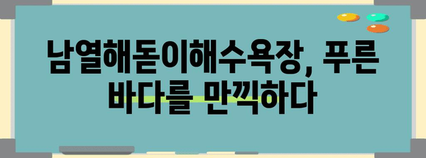 하절 피서지 고흥 캠핑장 여행기 | 남열해돋이해수욕장까지 가는 길
