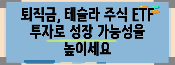 퇴직연금 IRP에 테슬라 주식 ETF 투자 | 현명한 계획