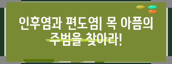 인후염 vs 편도염 | 증상, 원인, 치료법 비교