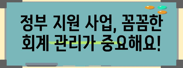 정부 지원 사업자 금융 관리 전략