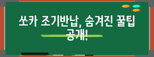 쏘카 조기반납 요금 최적화 가이드 | 돈 절약 꿀팁 포함