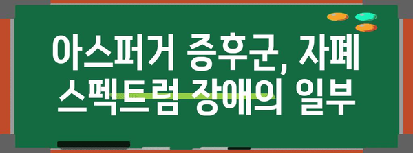 아스퍼거와 자폐의 연계 이해하기