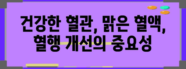 홍삼 진액으로 혈행 개선 | 건강한 혈관, 밝은 삶