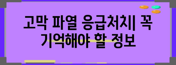 고막 파열 증상과 응급처치 | 응급 상황 인식하기