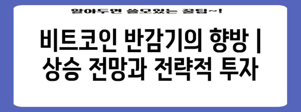 비트코인 반감기의 향방 | 상승 전망과 전략적 투자