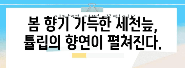 세천늪의 숨겨진 보석 | 달성군의 튤립 축제