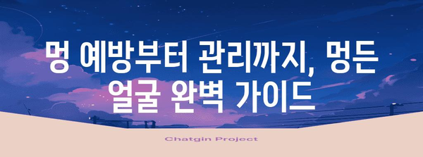 멍든 얼굴 복원 가이드 | 집에서 해결하는 효과적인 팁