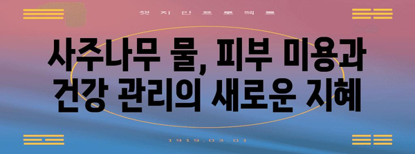 사주나무물의 비밀 | 건강과 미용을 위한 자연의 선물