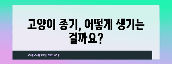 고양이의 종기 | 원인, 치료법, 그리고 예방 가이드