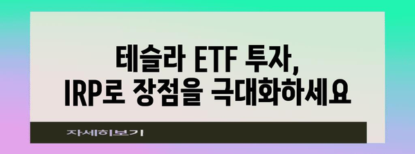 퇴직연금 IRP에 테슬라 주식 ETF 투자 | 현명한 계획