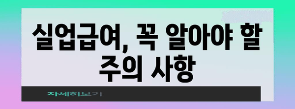 실업 급여 신청부터 수급 조건까지 완벽 해설