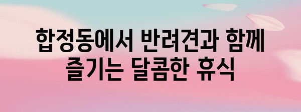 루아르의 달콤한 환상 | 합정동 애견 동반 디저트 카페