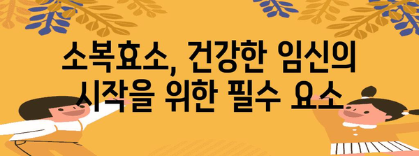 임신 준비 필수인 소복효소의 중요성