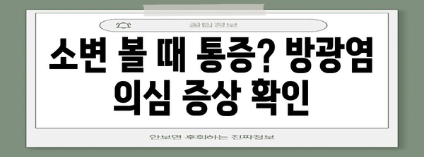 남자 방광염 완벽 가이드 | 증상, 치료법, 예방 법 설명