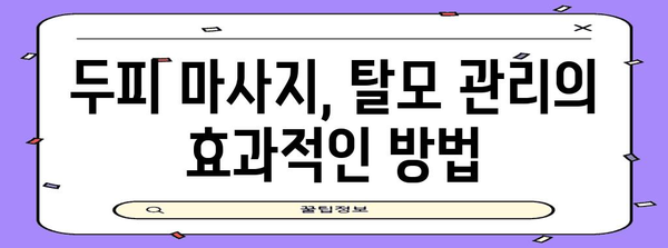 탈모 관리 완벽 가이드 | 머리 감기와 두피 관리 소개