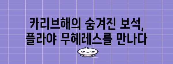 칸쿤 신혼여행에서 빼놓을 수 없는 시크릿 플라야 무헤레스