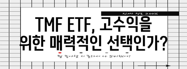 TMF ETF 투자 | 고수익, 고위험의 위험 관리 전략