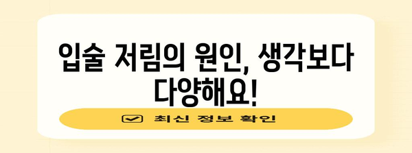 입술 저림의 숨겨진 진실